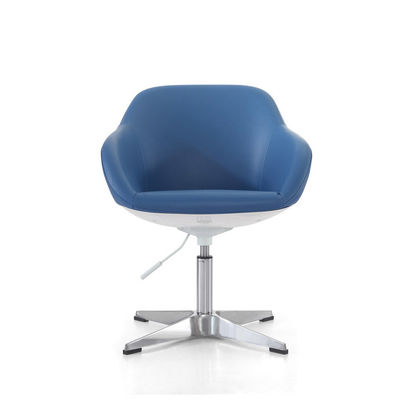 classical modern 	Shared Workspace Furniture. loungechair